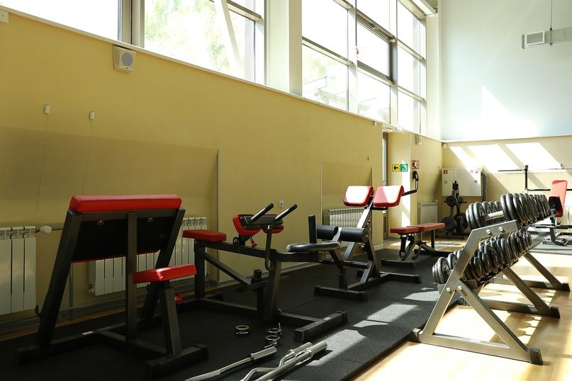 силовые тренажеры в спортивном зале